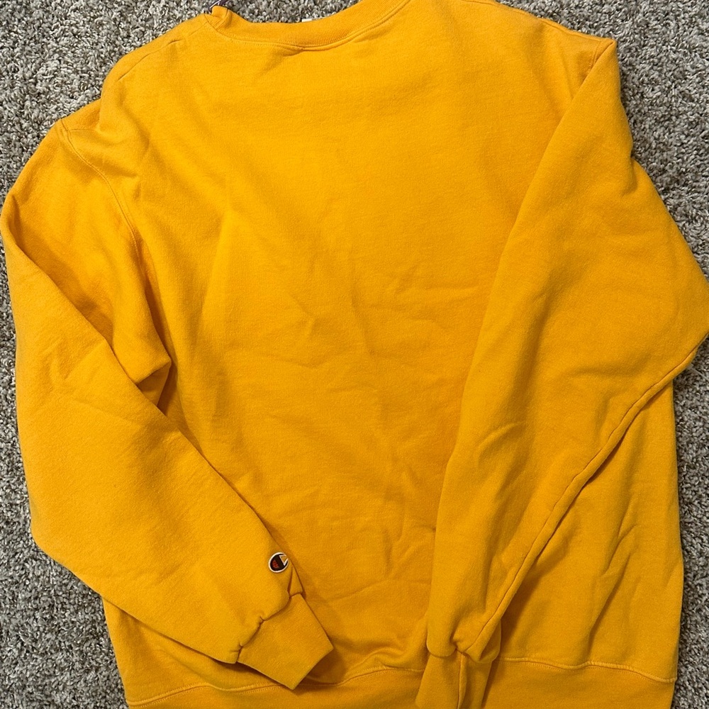 Vintage Champion Eco Authentic Sweatshirt